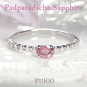 Pt900 pp`ATt@CA _Ch O G^jeB w 1 v`i _C O _CA ЂƗ wj ꗱ Mtg d˂Â 󏭐 pp`A 