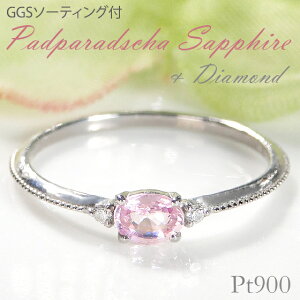 Pt900 pp`ATt@CA _Ch OyGGS\[eBOtzWG[ ANZT[ pp` Tt@C  lC PT fB[X _CO ꗱ J[Xg[ sN 