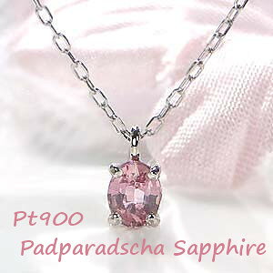 Pt900 pp`A Tt@CA lbNXyGGS\[eBOtz WG[ Tt@CAlbNX Tt@ClbNX pp`Ay_g S[h lbNX pp`lbNX p