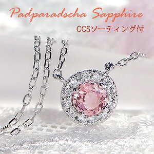 Pt900 pp`ATt@CA _Ch 芪 lbNXyGGS\[eBOtzAXg[ WG[ Tt@CAlbNX Tt@ClbNX pp`Ay_g v`