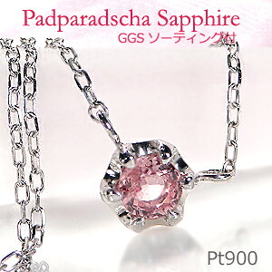 Pt900 6{ pp`A Tt@CA ݂ lbNXyGGS\[eBOtz WG[ Tt@CAlbNX Tt@ClbNX pp`Ay_g v`i lbNX pp`