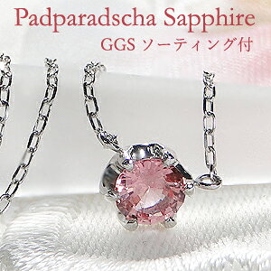 Pt900 6{ pp`A Tt@CA ꗱ lbNXyGGS\[eBOtzWG[ Tt@CAlbNX Tt@ClbNX pp`Ay_g v`i lbNX pp` 