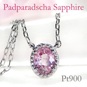 pt900 ~ł pp`A Tt@CA lbNXyGGS\[eBOtz WG[ Tt@CAlbNX Tt@ClbNX pp`Ay_g v`i lbNX pp`lb