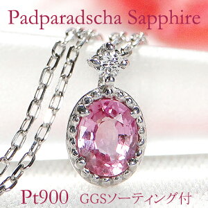 Pt900 ~ł pp`A Tt@CA _Ch lbNXyGGS\[eBOtz Tt@CAlbNX _C Tt@ClbNX pp`Ay_g v`i pp`lbN