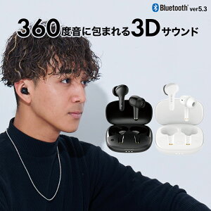 360°ɕ܂3DTEhTRUTH CXCz Bluetooth5.3 ENCmCYLZO mCL bluetooth Cz u[gD[X Cz }CNt RpNg iPhone Android Ή 