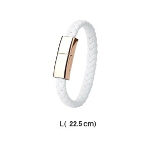 iPhone16 [d P[u uXbg rANZT[ c ^Cv Lighting [dR[h  Type]C f[^] CgjO ^ ֗ apple iPhone 15 14plus pro max iPad [d iPhone13 mini12 12mini 11 