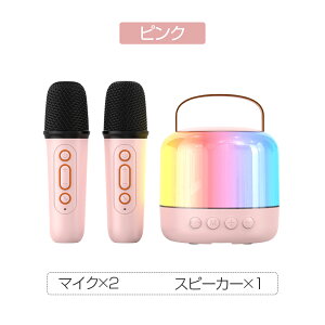 JIP }CN bluetooth5.3 |[^uXs[J[ 4ʂ̍Đ@ }CN2{ u[gD[X USB Type-C AUX TFJ[h MiNi ƒ }WbN{CX CX}CN  yĐ  VN Y