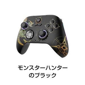 Switch 2 Rg[[ Bluetooth 5.3 CX XCb` Aˋ@\ 6WCZT[ Switchp 3DXeBbN }NvO~O@\ { PC Type-C ڑ ȒP q