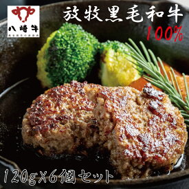 【販売元より直送】放牧黒毛和牛 100％ ハンバーグ 簡易包装 120g×6個 おうちごはん 家族 熟成 添加物不使用 国産 肉汁 旨み 冷凍便 美味しい 八崎牛 宮崎 贈答品 ギフト 内祝い 結婚祝い 出産祝い 誕生日 母の日 父の日 敬老の日 楽天スーパーセール お得 お値打ち 肉