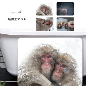 Mtg v[g ]y oX}bg  ]y}bg IWi 킢 oX}bg C 킢 ]y C }bg ObY oX}bg  T monkey  Aj