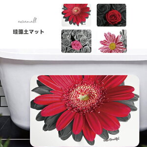 Mtg oX}bg }bg v[g ]y  ]y}bg IWi 킢 C C ObY oX}bg t[ fUC vA [Y Flower Rose Plumeria