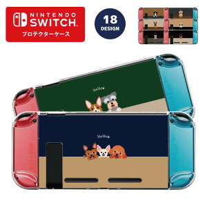 Nintendo switch XCb` XCb`veN^[P[X NAP[X n[hP[X ی Joy-Con Rg[[ [ CV jehE fUC O v[g Q[   