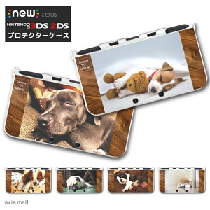 new3DS LL Jo[ P[X new 3DSLL new 2DS LL 3DS LL Jo[ Nintendo 킢  l q LbY  Q[ v[g  Q fUC  {XgeA sbgu Č p