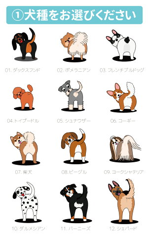 楽天市場 好きな犬種 背景を選んで簡単オリジナル スマホケース 手帳型 アイフォン 全機種対応 Iphone12 Mini Pro Max アイフォン12 Iphone Se 第2世代 11 Pro Xr 8 7 ケース おしゃれ ワンちゃん イラスト プレゼント Xperia 1 Ace Xz3 Galaxy S10 S9 Aquos Sense 楽天市場 好きな犬種 背景を選んで簡単オリジナル スマホケース 手帳型 アイフォン 全機種対応 Iphone12 Mini Pro Max アイフォン12 Iphone Se 第2世代 11 Pro Xr 8 7 ケース おしゃれ ワンちゃん イラスト プレゼント Xperia 1 Ace Xz3 Galaxy S10 S9 Aquos Sense