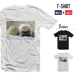 TVc Y  fB[X   ubN zCg I LOVE DOG fUC hbO  L[g   q Q nbg Kl pO Q