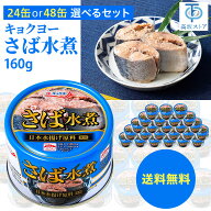 キョクヨー さば水煮 160g 24缶 48缶 選べるセット