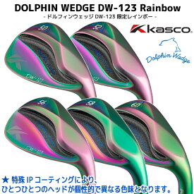 【SALE】【数量限定/Rainbow】キャスコ ドルフィン DW-123 レインボー オーロラ ウェッジ（メンズ）N.S.PRO950GH_neo（WEDGE）【12856】