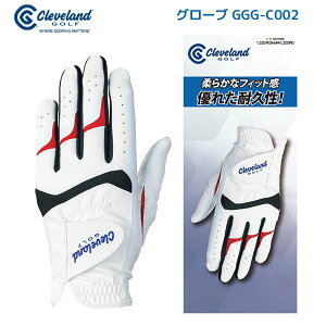 yGGG-C002zN[uh O[uipj Y _bvy䂤pPbgzy50108z