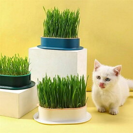 容器 3pcs　猫草栽培鉢皿 鉢台 鉢植え台　猫草プランター　植物シャーレ　プラスチックキャットニップ猫草ボックス　自己散水植物スプラウタートレイ　鉢植え台 観葉植物 鉢植え 植木鉢水耕栽培　猫草容器　猫草栽培鉢皿　3pcs　猫用