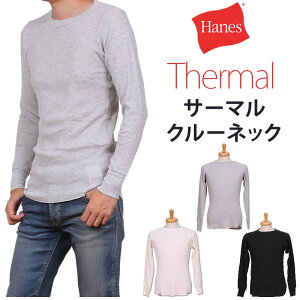 Hanes wCY T[} N[lbN OX[uTVc bt n HM4-Q501_020_060_090y䂤pPbg250~i|XgEwsjΉizyō2420i{̉i2200j