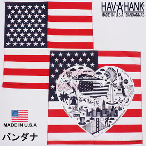 HAV-A-HANK@nonN o_iiAJjHAVAHANK_AME114_AME172y䂤pPbg200~i|XgEwsjΉizyō594i{̉i540jz