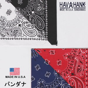 HAV-A-HANK@nonN o_i iXsbgyCY[jHAVAHANK_PAI200_PAI201y䂤pPbg200~i|XgEwsjΉizyō594i{̉i540jz