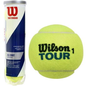 ウィルソン ツアースタンダード WILSON TOUR STANDARD 4球入 硬式 テニスボール 練習球