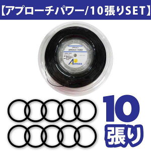 �A�v���[�` �p���[ APPROACH POWER BK 10�� �d�� �e�j�X�X�g�����O �K�b�g