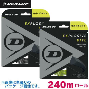 yX[p[SALE 420`28HIőP40{z_bv GNXvbVu oCg DUNLOP EXPLOSIVE BITE 240m [ DST12011 Kbg d ejX XgO