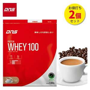 DNS veCzGC100 JtFI 2000g y2Zbgz (114H) zGCveC WHEY A`Eh[sOF pE_[ 