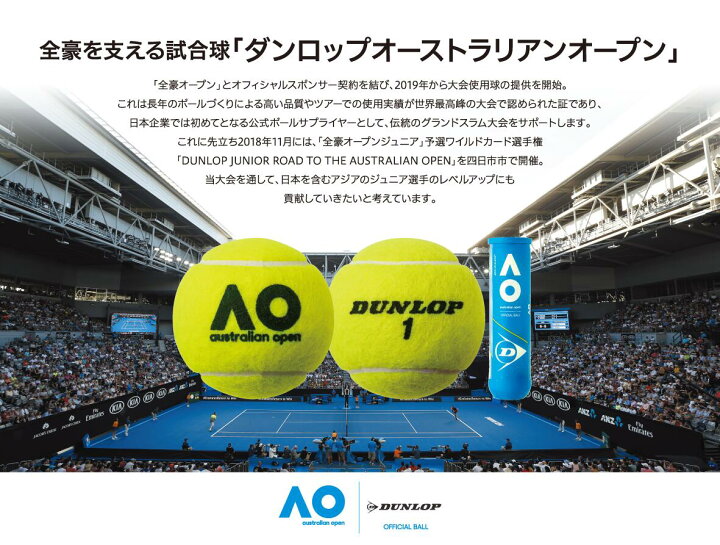 楽天市場】【マラソン限定！最大500円OFFクーポン】ダンロップ 