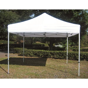 �y�y�V�労�ӍՁ��ő�1500�~OFF�N�[�|���zEVERNEW �N�C�b�N�e���g3�D6x5�D4 �� EKA106 90 �G�o�j���[ �^����E�C�x���g