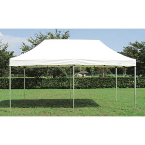 �y4/18�E19����I�ő�1500�~OFF�N�[�|���zEVERNEW �����^�b�`�e���g3�D0x6�D0 �� EKA736 500 �G�o�j���[ �^����E�C�x���g