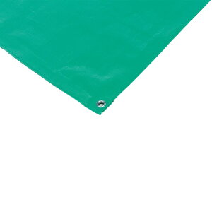 EVERNEW ����V�[�g5x10 EKA970 �G�o�j���[ ����