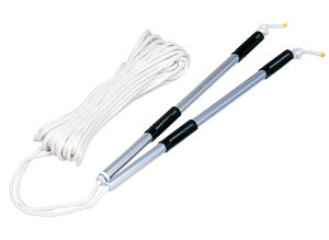 TOEI LIGHT �i���g�rSR15 B3025 �g�[�G�C���C�g �̂���E�\���^��