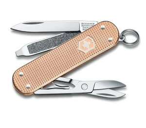 yKizrNgmbNX VICTORINOX NVbN vVXALOX Hazel Brown(uE) 0.6221.4011G }`c[ AEghA MA VX KNS [M 1/3]