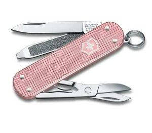 yKizrNgmbNX VICTORINOX NVbN vVXALOX Hazel Brown(uE) 0.6221.4011G }`c[ AEghA MA VX KNS [M 1/3]