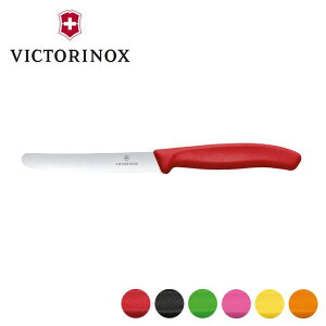 yKizrNgmbNX VICTORINOX g}gxW^uiCt gn 6.7831E  Lb`  AEghA MAy[ցzVX KNS [M 1/3]