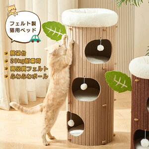 ybgnEX L LbgnEX Lxbh p ybgp\t@[ 3K tFg Lxbh LnEX Q ybgxbh \tgP[W ʔN 薰 ʋC ӂӂ ϋv ϊ 