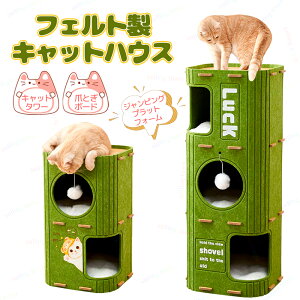 ybgnEX L LbgnEX Lxbh p ybgp\t@[ 3K tFg Lxbh LnEX Q ybgxbh \tgP[W ʔN 薰 ʋC ӂӂ ϋv ϊ 