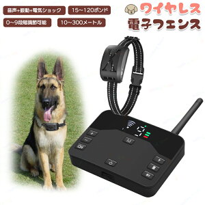 ybg dqtFX hbOtFX ybgtFX o[`hbOtFX ih~ CX ͈1000[g  g[jO ybg S  ϗp @\ 3̃[h yb