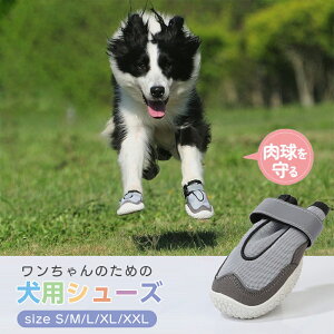 ybgV[Y ybgpC 4 U  C C  Ck   h~ Ώh~  PA pC ^  C T_ 炩 t  p  O hbOu[c y 