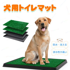 ybggC lHŃ}bg ybgpApbh pgC Ő pi tFCN lH peBI }`z[݌v |ȒP /O ɗD K[fjO ybgpgC