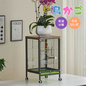 P[W o[hP[W    P[W o[hpX ~܂ GT  ȒP CRP[W IEP[W KP[W IJCRP[W ȃXy[