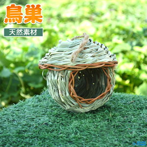 鳥 巣箱 天然素材 野鳥 観察 鳥 巣 設置 小鳥 鳥かご バードハウス 庭 インコ ケージ ハウス 小鳥 ことり 野鳥 すばこ 鳥の巣シーグラス ガーデン ガーデニング オーナメント 鳥小屋 オラン
