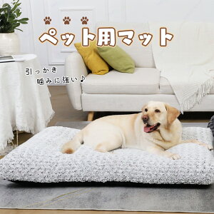 ybgxbh }bg g  ӂӂ ybgpxbh }bg NbVzc  ybg L t[X uPbgH~h 薰 K \ _炩ybg}bg 