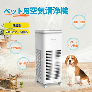 C@ C C  31 ^ ȃGl ԕ΍ ~J΍ ߓd C@ nEX_Xg ybg̖ ybgL PM2.5 EL G} ybg _j΍ RpNg EC