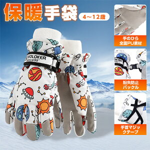 XL[O[u q LbY  h h~ N Xm[ ĂԂ qǂ ~ H hۉ ~ j̎q ̎q V ʊw AEghA V Ⴉ EC^[X|[