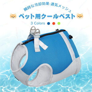 pN[xXg ⊴ pxXg ЂxXg pĕ p ʋC MǑ΍ Ăh N[xXg  ⊴ ybgN[OxXg  ۗ pR[g ^ ^ 