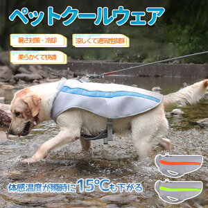 pN[xXg ⊴ pxXg ЂxXg pĕ p ʋC MǑ΍ Ăh N[xXg  ⊴ ybgN[OxXg  ۗ pR[g ^ ^ 